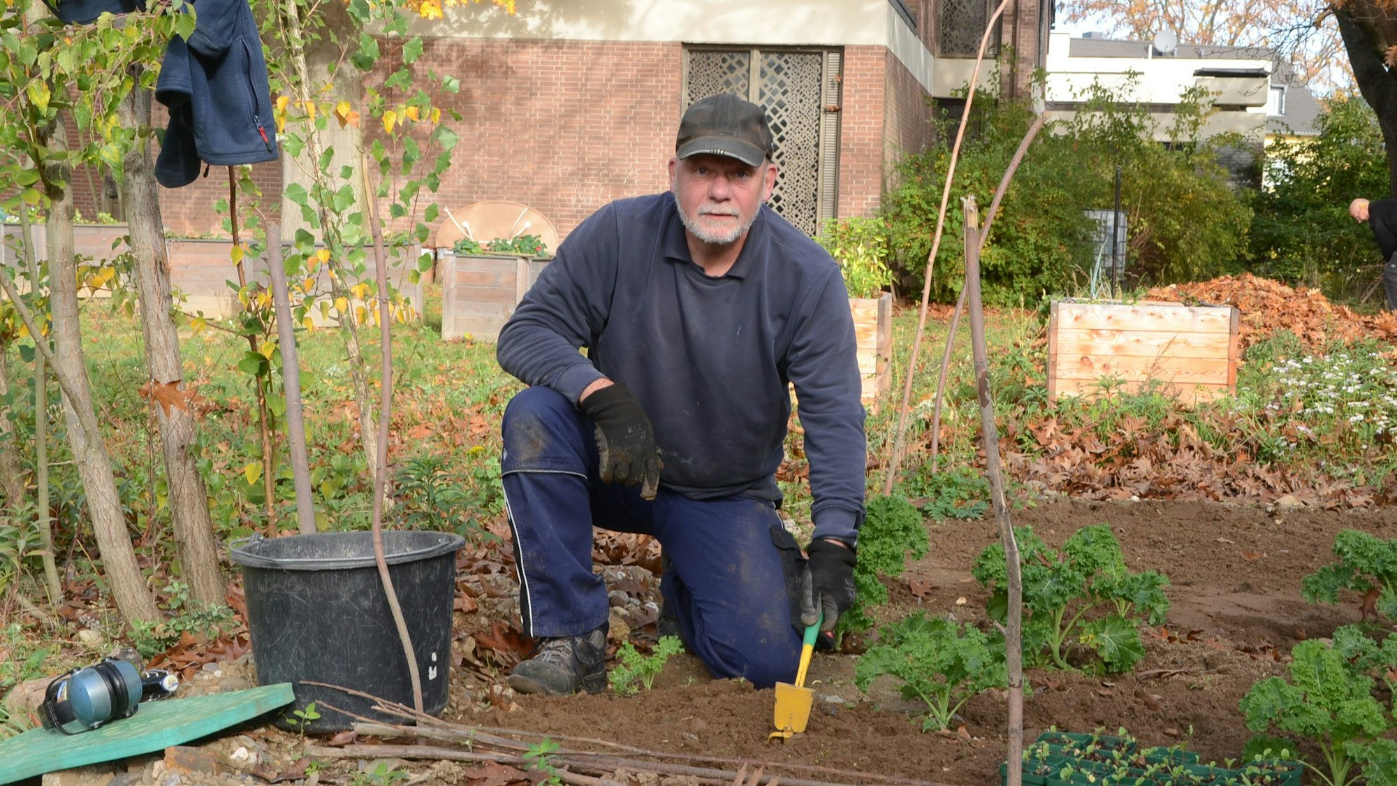 Ein Mann mit Schirmmütze und einer kleinen Hacke kniet in einem Gemüsebeet.