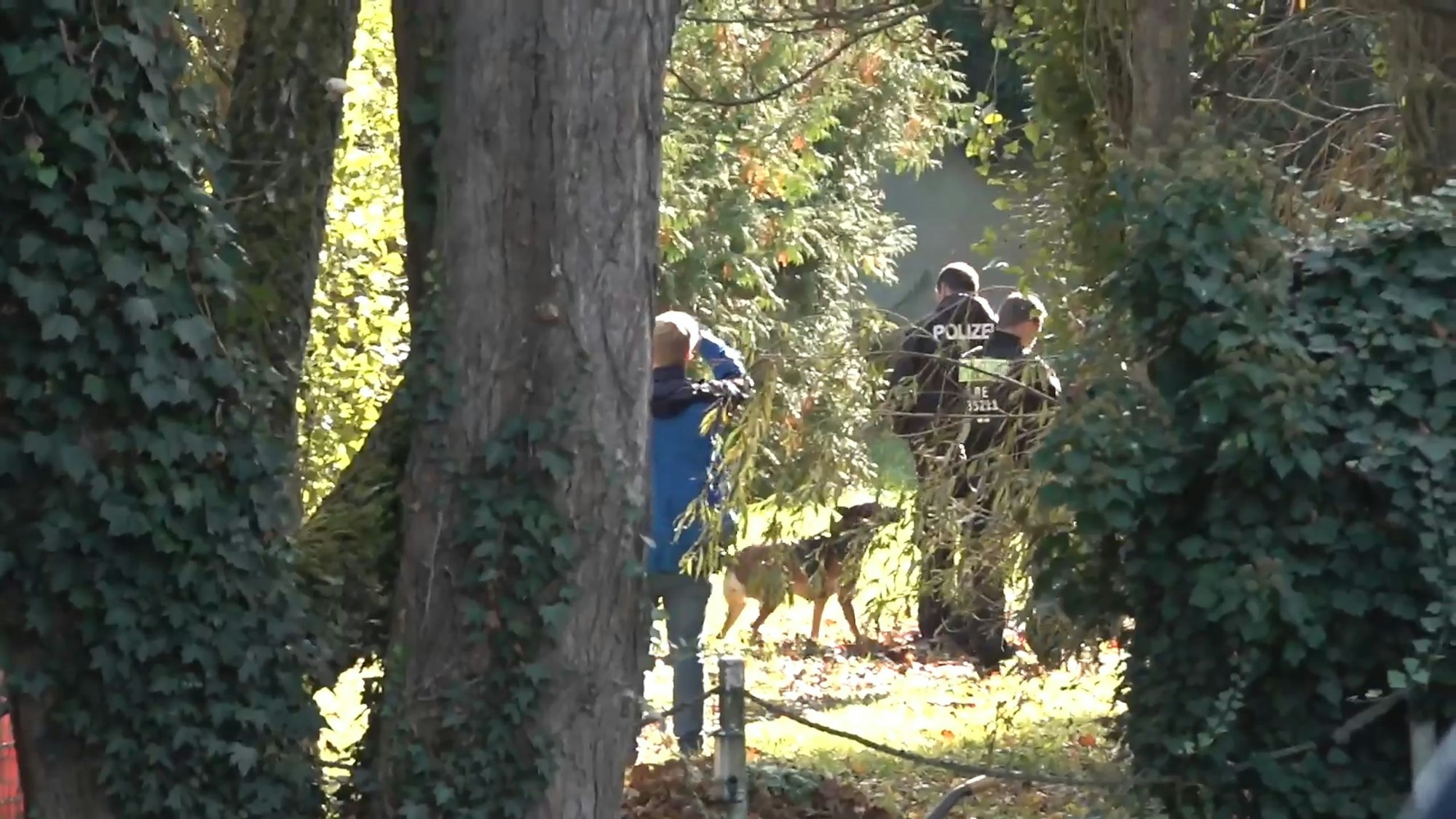Die Polizei setzte bei der Suche nach Rebecca Reusch auch Leichenspürhunde ein.