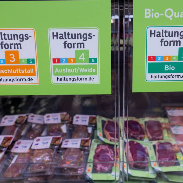 Fleischwaren liegen bei Aldi Süd in Kühlschränken nach Haltungsform sortiert.