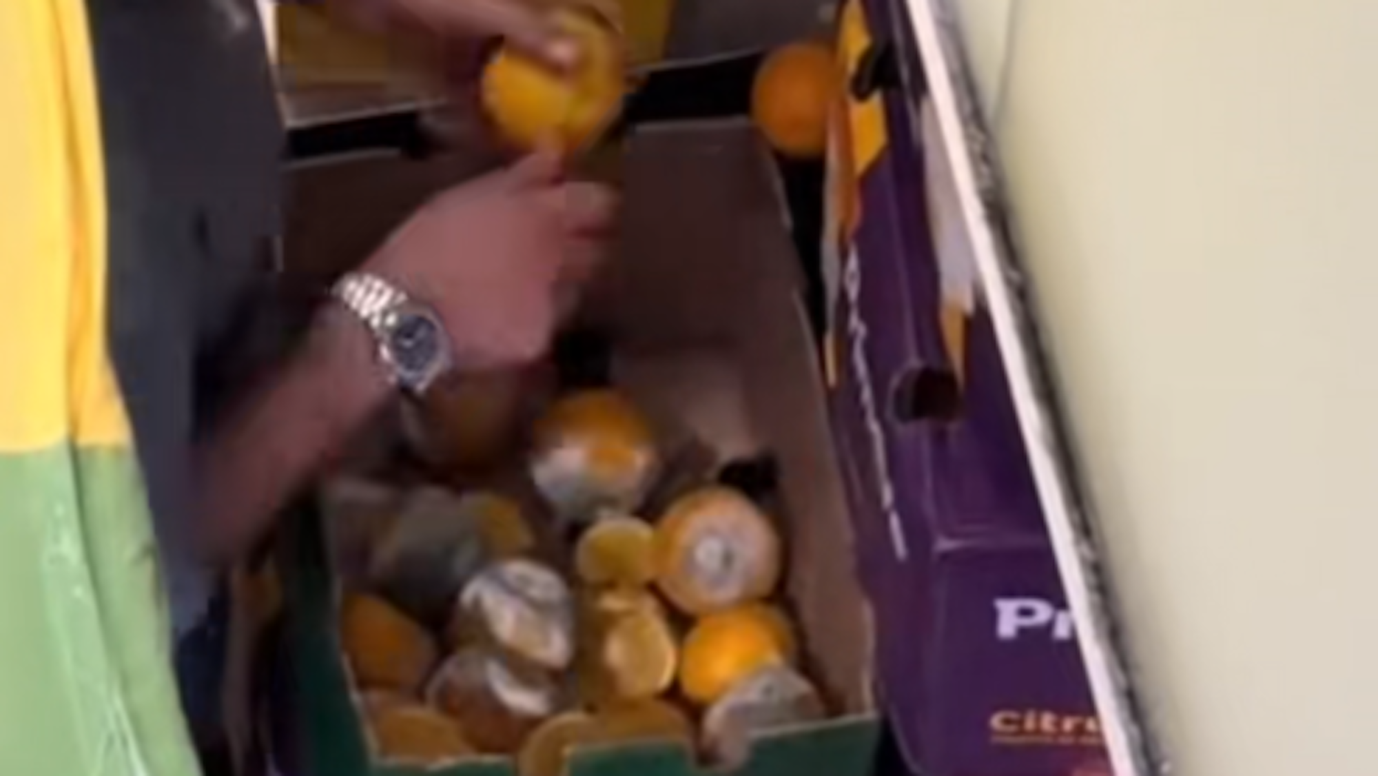 Eine Szene auf TikTok zeigt, wie ein „Fruit World“-Mitarbeiter in der Neumarkt-Galerie den Schimmel von Orangen abschneidet und anschließend zu Getränken verarbeitet.