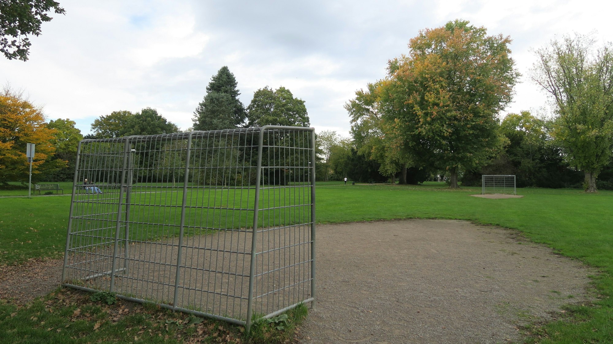 Fürs Basketballspielen eher ungeeignet: Der „Bolzplatz“ im Rochusplatz ist im Grunde eine normale Grünanlagen-Wiese mit zwei Toren drauf.