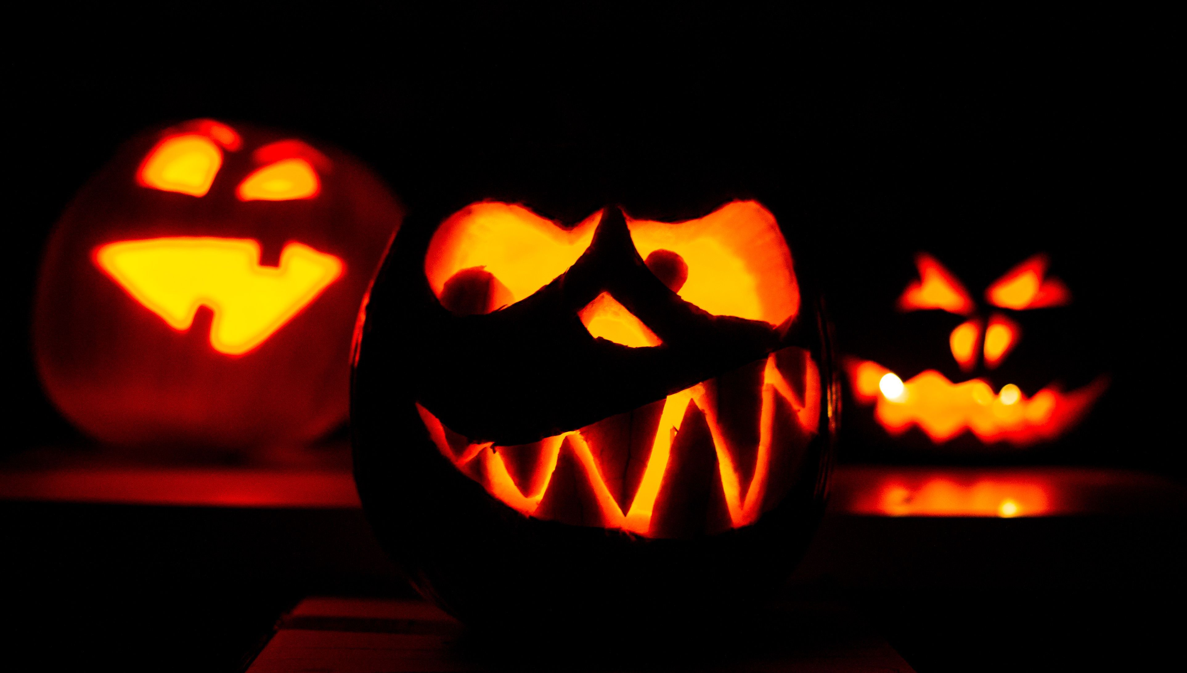 Drei geschnitzte Halloweenkürbisse werden mit Kerzen von innen beleuchtet. (Symbolbild)