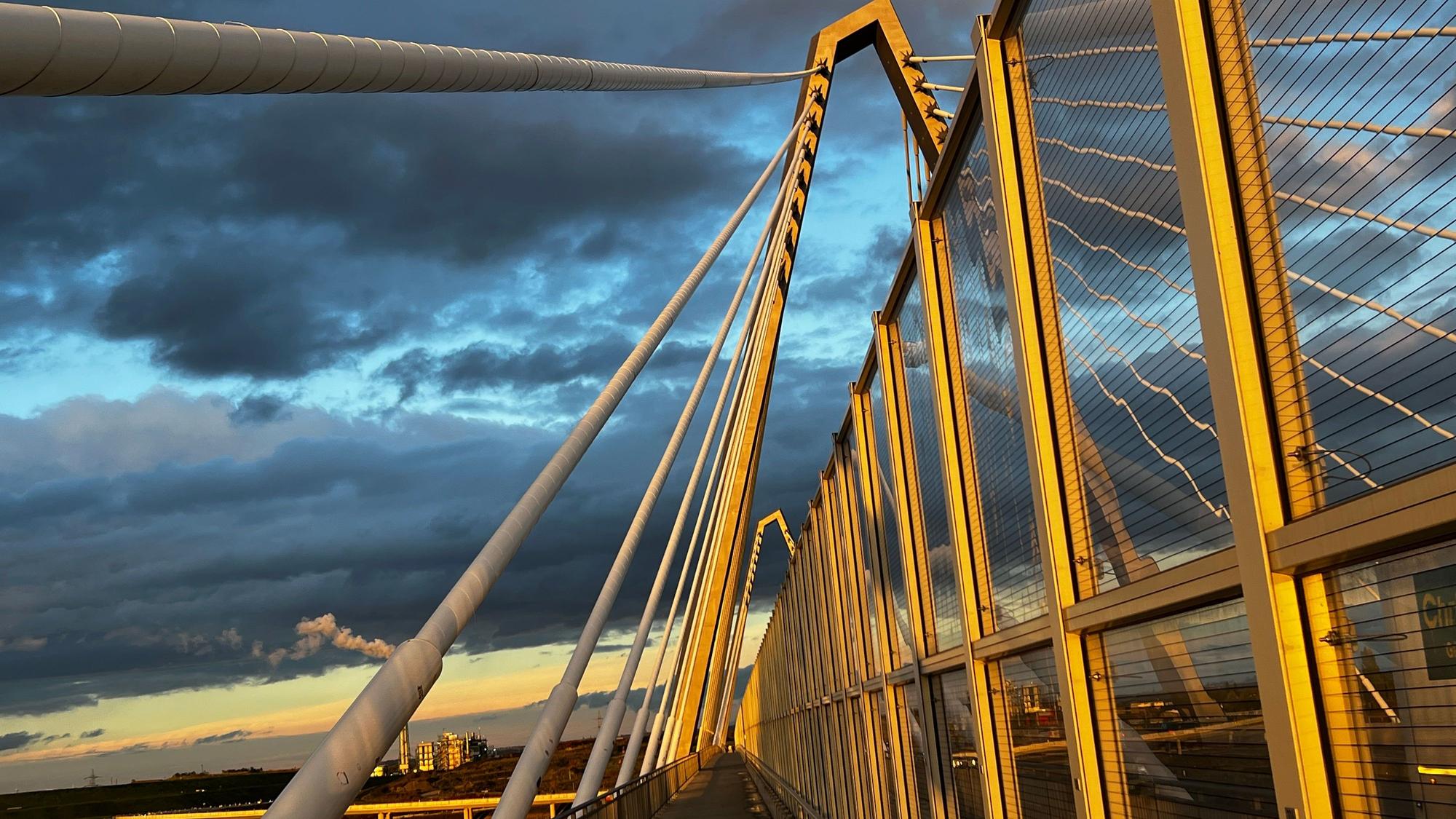 Die Leverkusener Brücke mit ihren Pylonen und den Tragseilen im Abendlicht