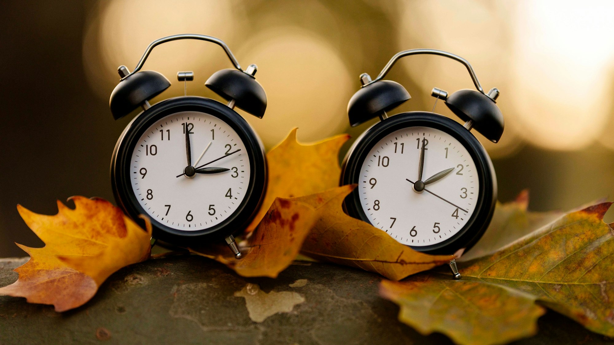 Zwei Wecker im Wald symbolisieren die Umstellung von Sommerzeit zu Winterzeit.