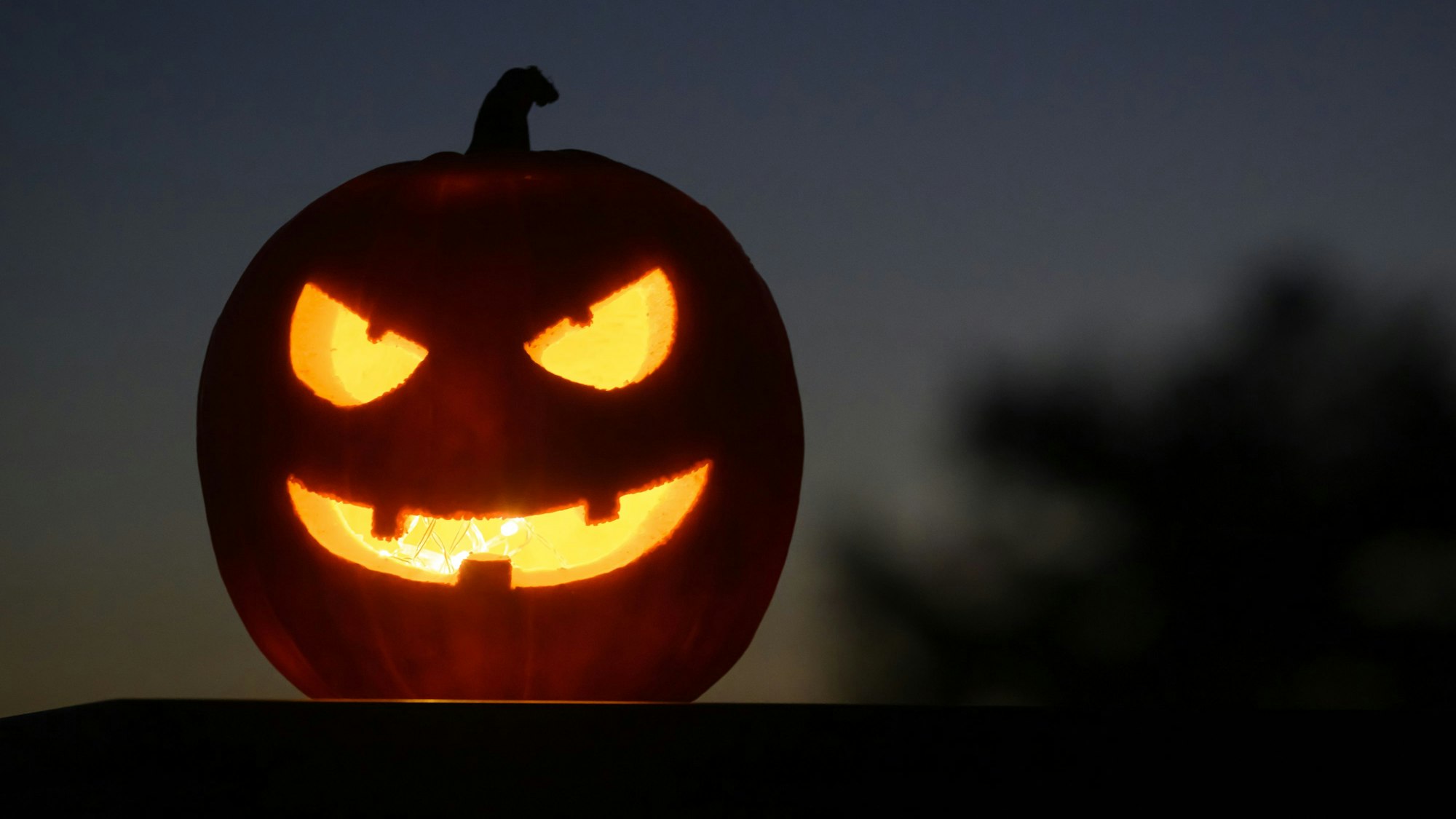 Als Halloween-Dekoration steht ein ausgehöhlter, beleuchteter Kürbis mit einem geschnitzten grinsenden Gesicht in einem Garten. (Symbolbild)