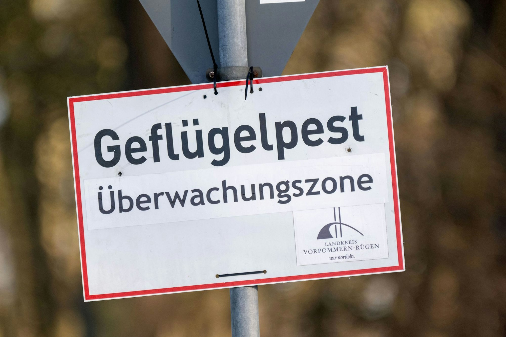 Pro getötetem Tier können Tierhalterinnen und Tierhalter bis zu 50 Euro erhalten. (Symbolbild)