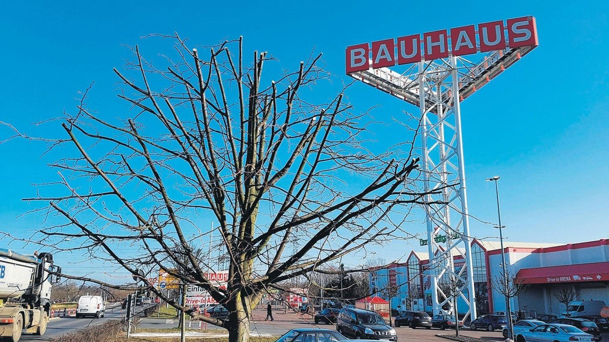 Das Bild zeigt den Parkplatz von Bauhaus in Hürth.