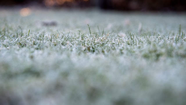 Mit der richtigen Vorbereitung kommt der Rasen gut durch den Winter: Mähen bis die Temperaturen unter 10 Grad fallen, Laub entfernen und im Oktober noch einmal mit speziellem Herbstdünger versorgen.