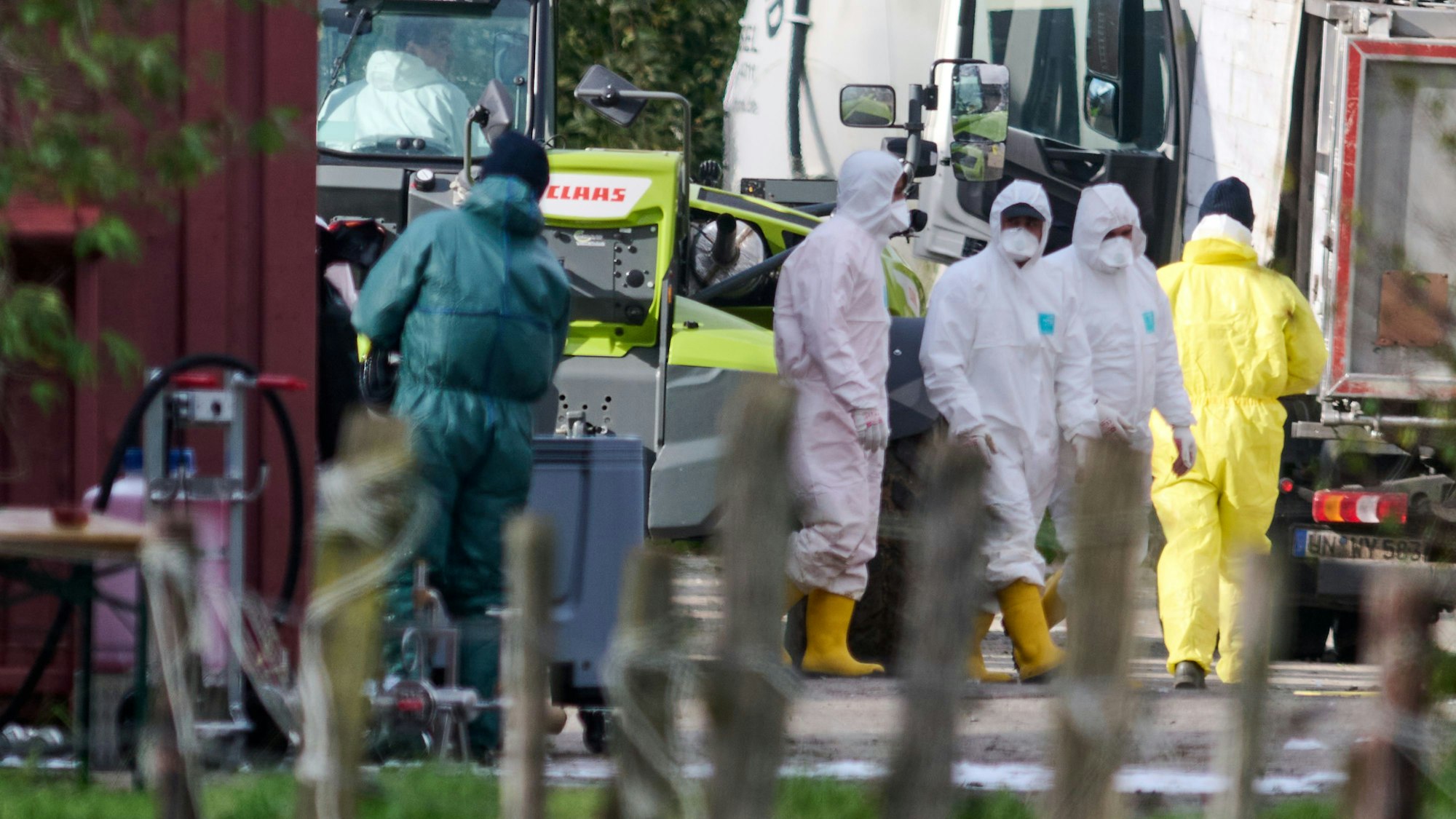 Arbeiter in Overalls und Gummistiefeln gehen über das Gelände eines landwirtschaftlichen Betriebs in Rees, Kreis Kleve.