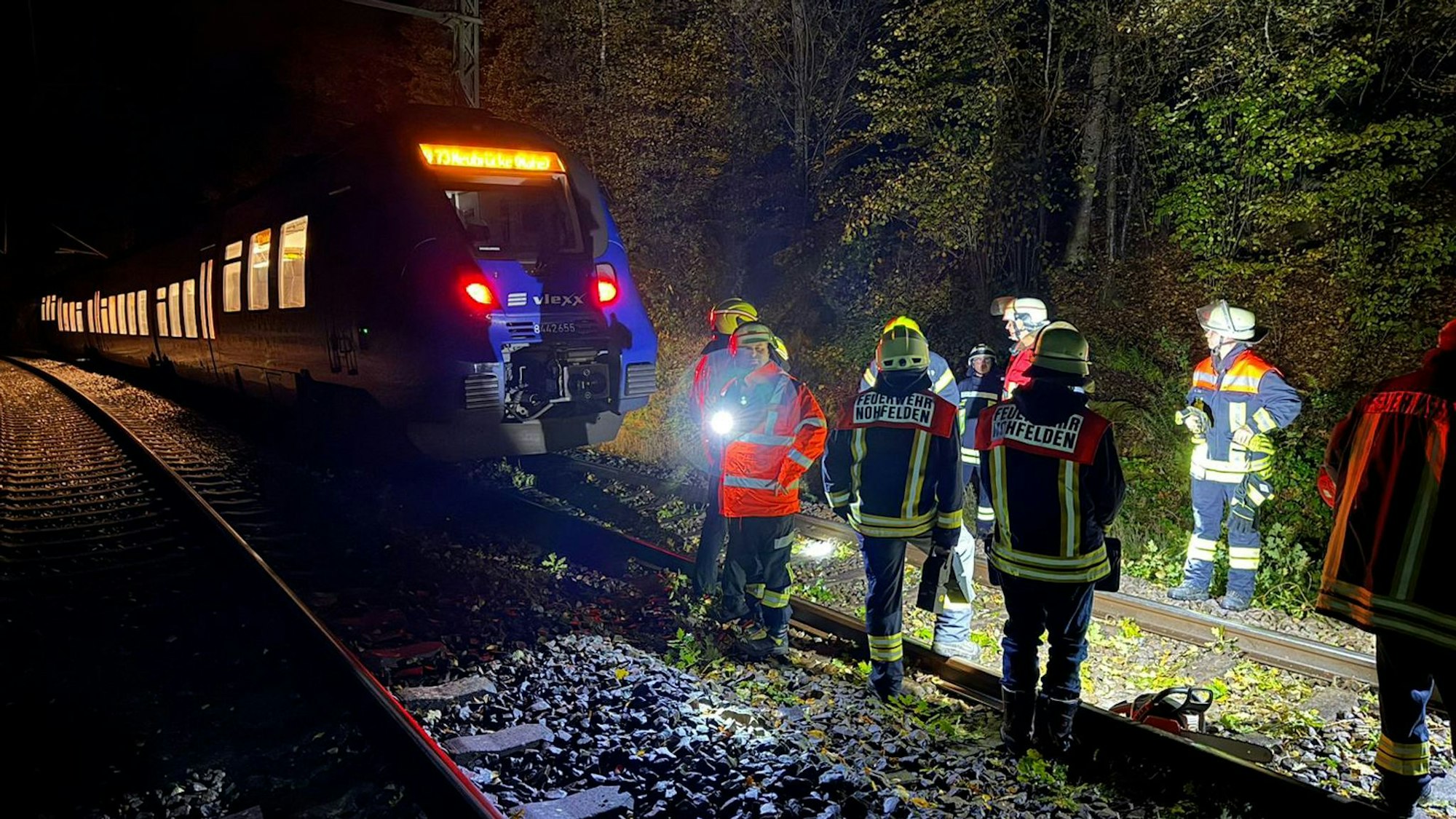 Bei dem Zusammenstoß mit einem Baum wurde kein Passagier des Zuges verletzt.
