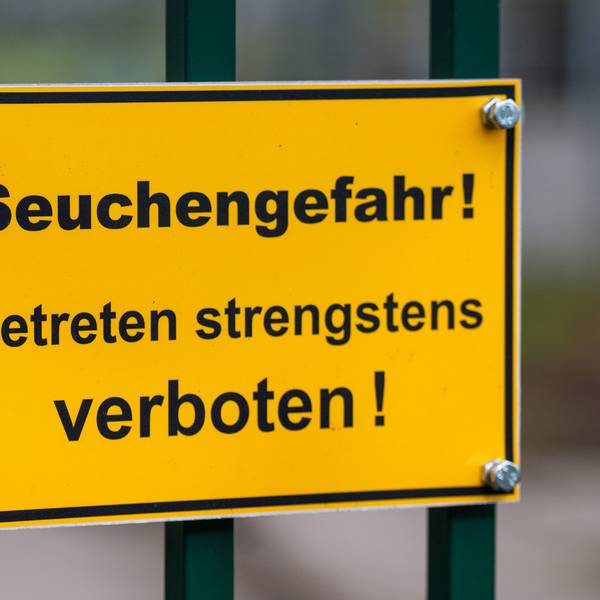 Die abschließende Diagnose steht noch aus, die Stadt Leverkusen rät dennoch zur Vorsicht.