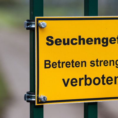 Die abschließende Diagnose steht noch aus, die Stadt Leverkusen rät dennoch zur Vorsicht.