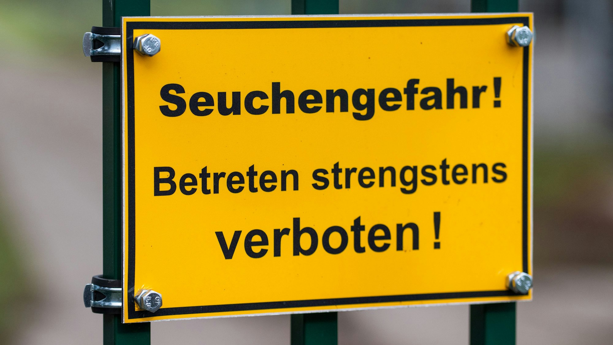 Die abschließende Diagnose steht noch aus, die Stadt Leverkusen rät dennoch zur Vorsicht.