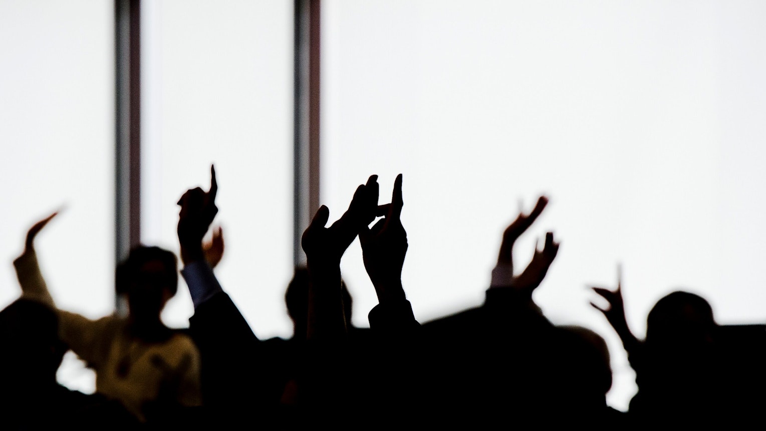 Abgeordnete heben bei einer Abstimmung die Hände.