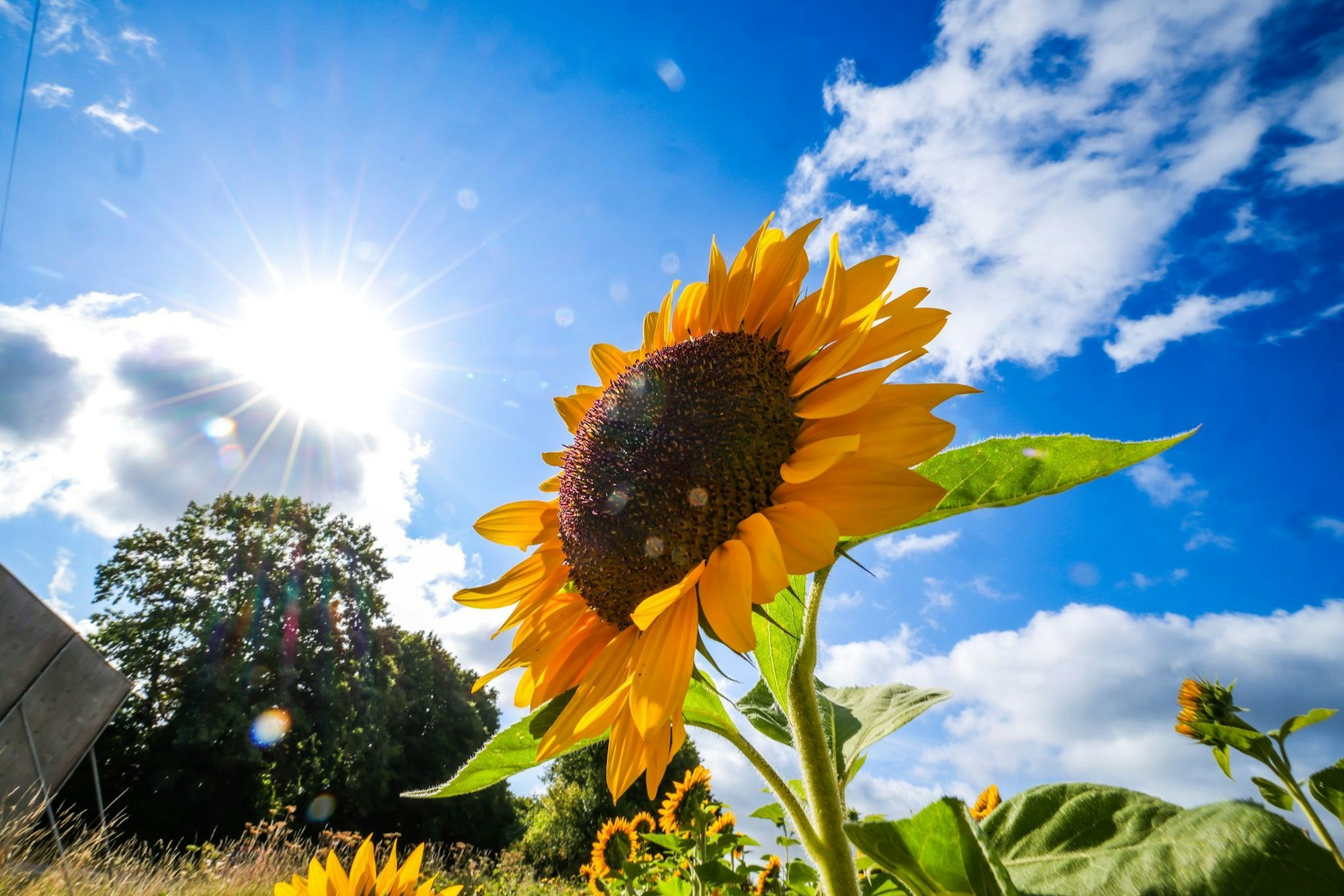 Laut «Glücksatlas» rangiert NRW bei der Lebenszufriedenheit im Vergleich der Bundesländer auf dem vierten Platz. (Symbolbild)
