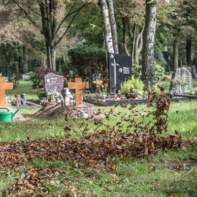 Laub auf dem Friedhof Reuschenberg