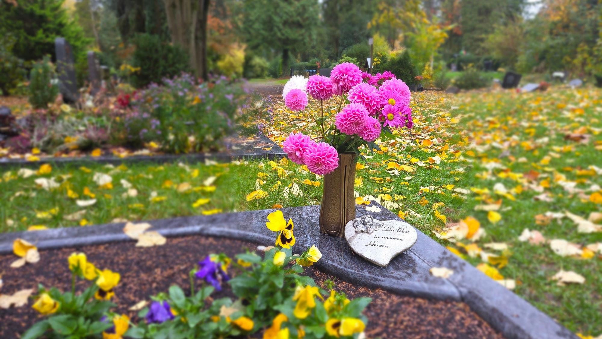 Ein Strauß rosa Blumen steht in einer Vase auf einem Grab, daneben Stiefmütterchen.