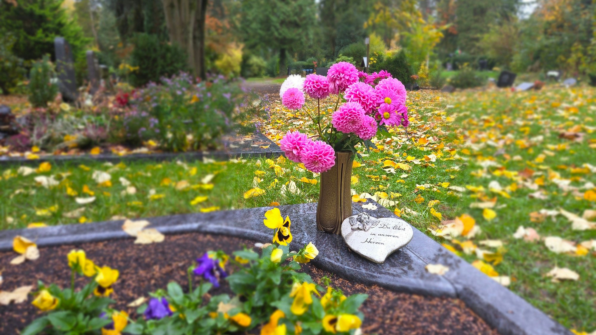 Ein Strauß rosa Blumen steht in einer Vase auf einem Grab, daneben Stiefmütterchen.