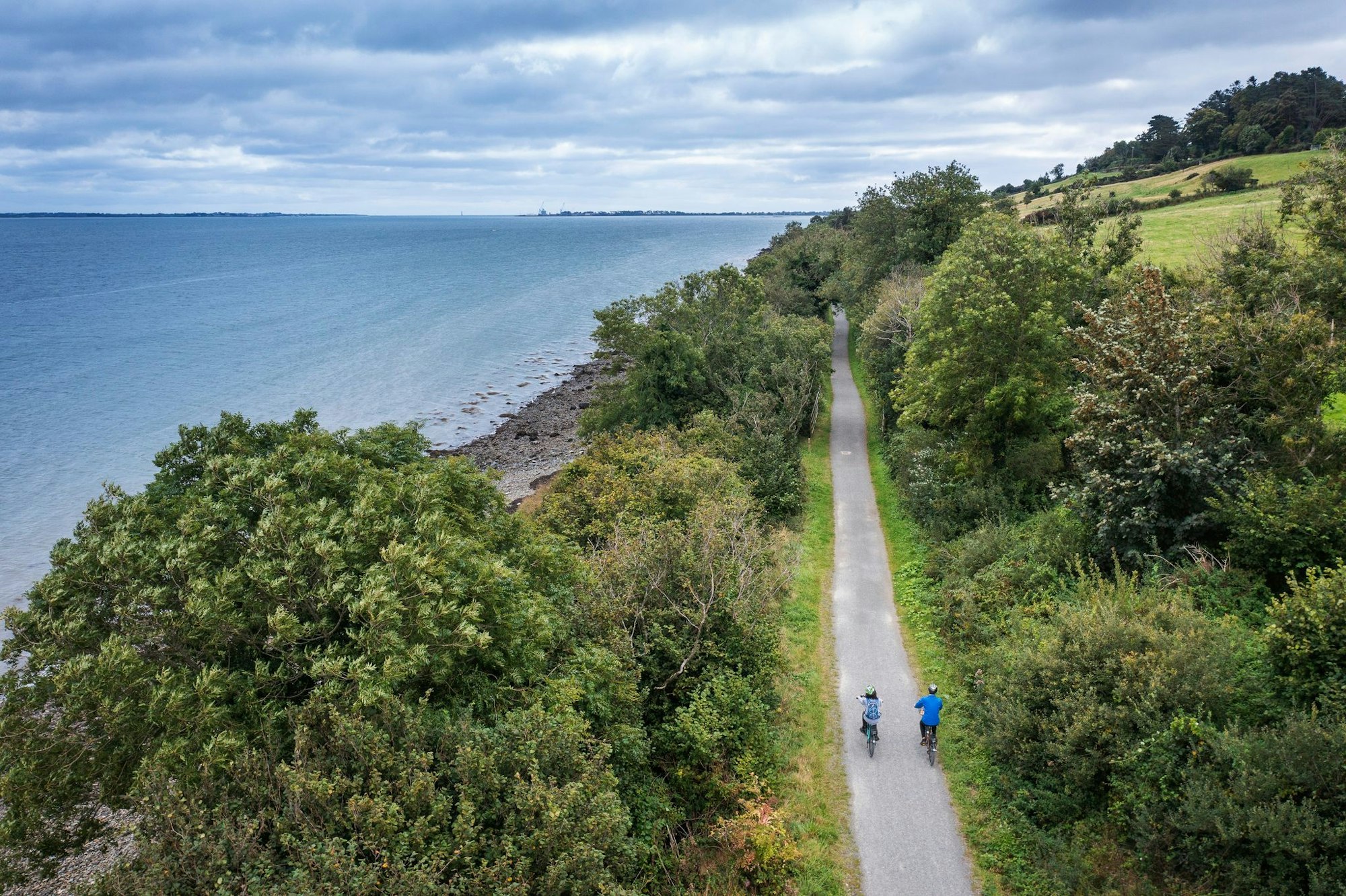 Am Wasser entlang: Der Weg führt entlang der Carlingford Lough, einer langgezogenen Bucht im Osten der Insel.
