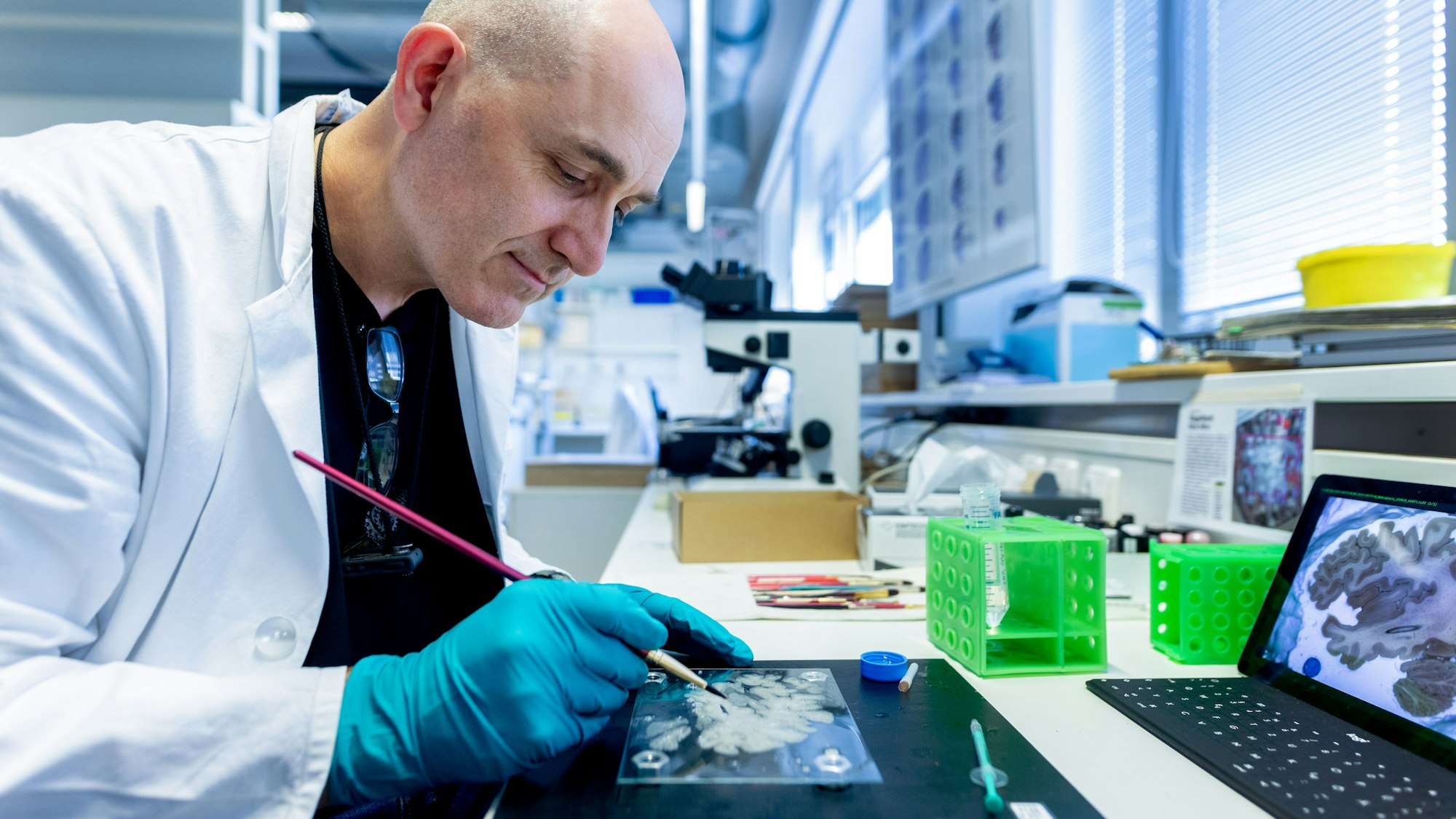 Im Forschungszentrum Jülich werden menschliche Gehirne in hauchdünne Scheiben geschnitten. Laborleiter Markus Cremer richtet einen der Schnitte mit einem Pinsel.