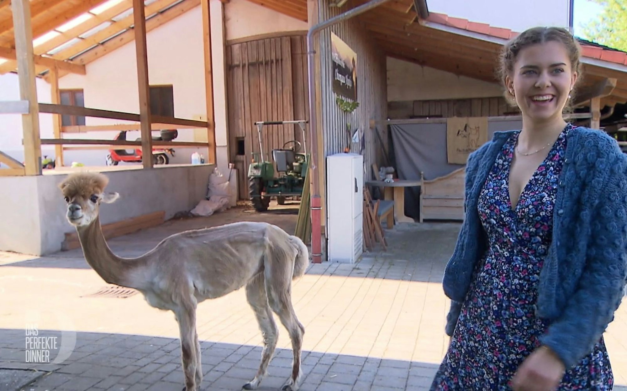 Willkommen am Chiemsee mit Gastgeberin Pia (19) und Alpaka „Marcello“. (Bild: RTL)