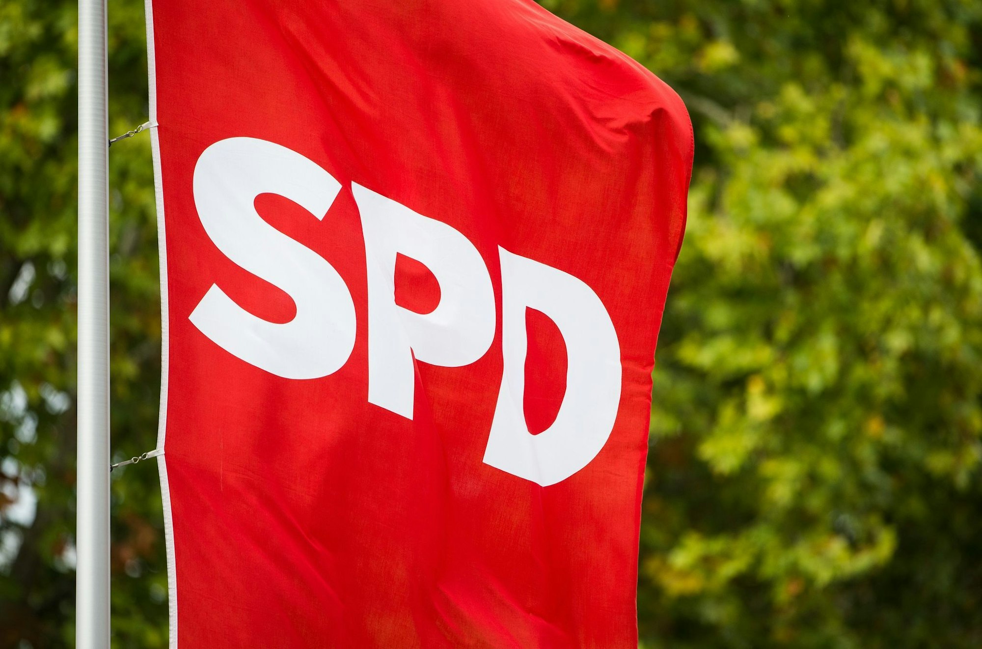 Teile der SPD stemmen sich gegen die geplante Bürgergeld-Reform. (Symbolbild)