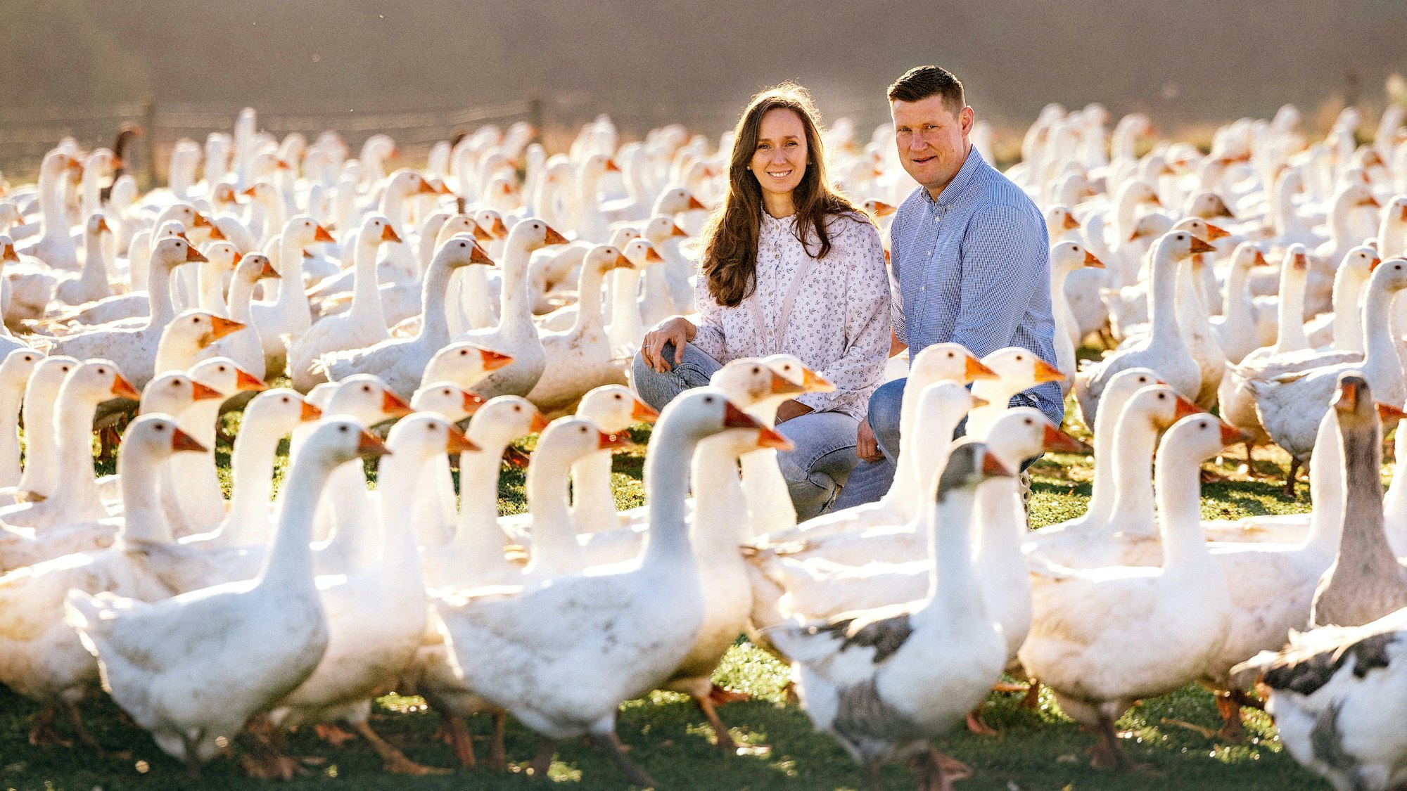Das Ehepaar Trimborn sitzt auf einer Wiese inmitten von Gänsen.
