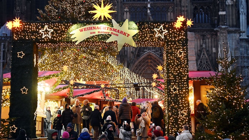 Weihnachtsbäume in der Stadt. Weihnachtsmarkt am Dom.