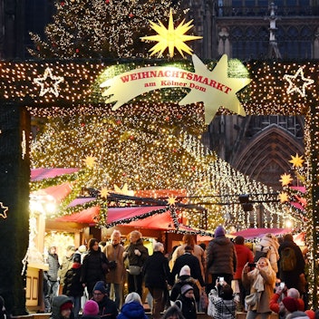 Weihnachtsbäume in der Stadt. Weihnachtsmarkt am Dom.