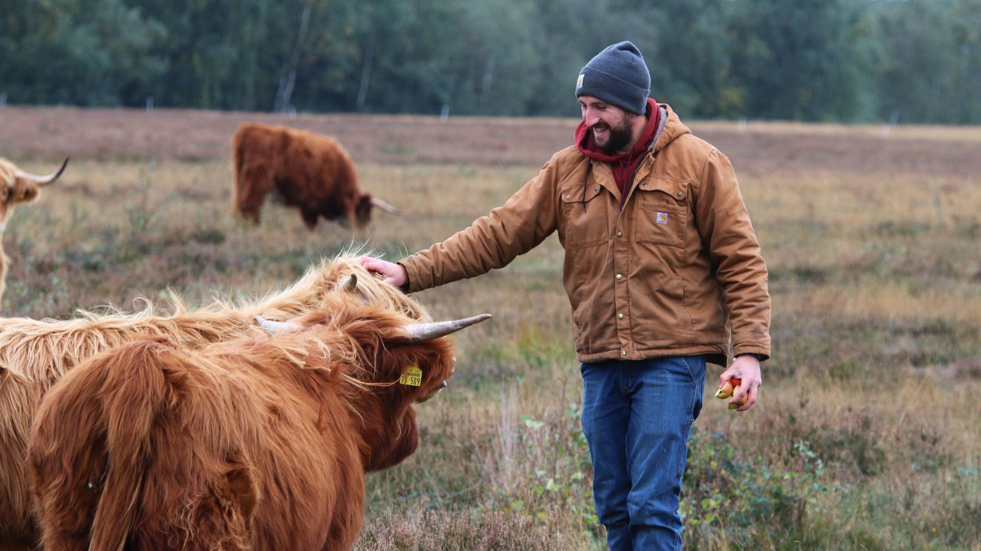 Gemeinsam mit mehreren schottischen Hochlandrindern steht Kilian Busch auf einer Weide in der Drover Heide und streichelt eine Kuh am Kopf