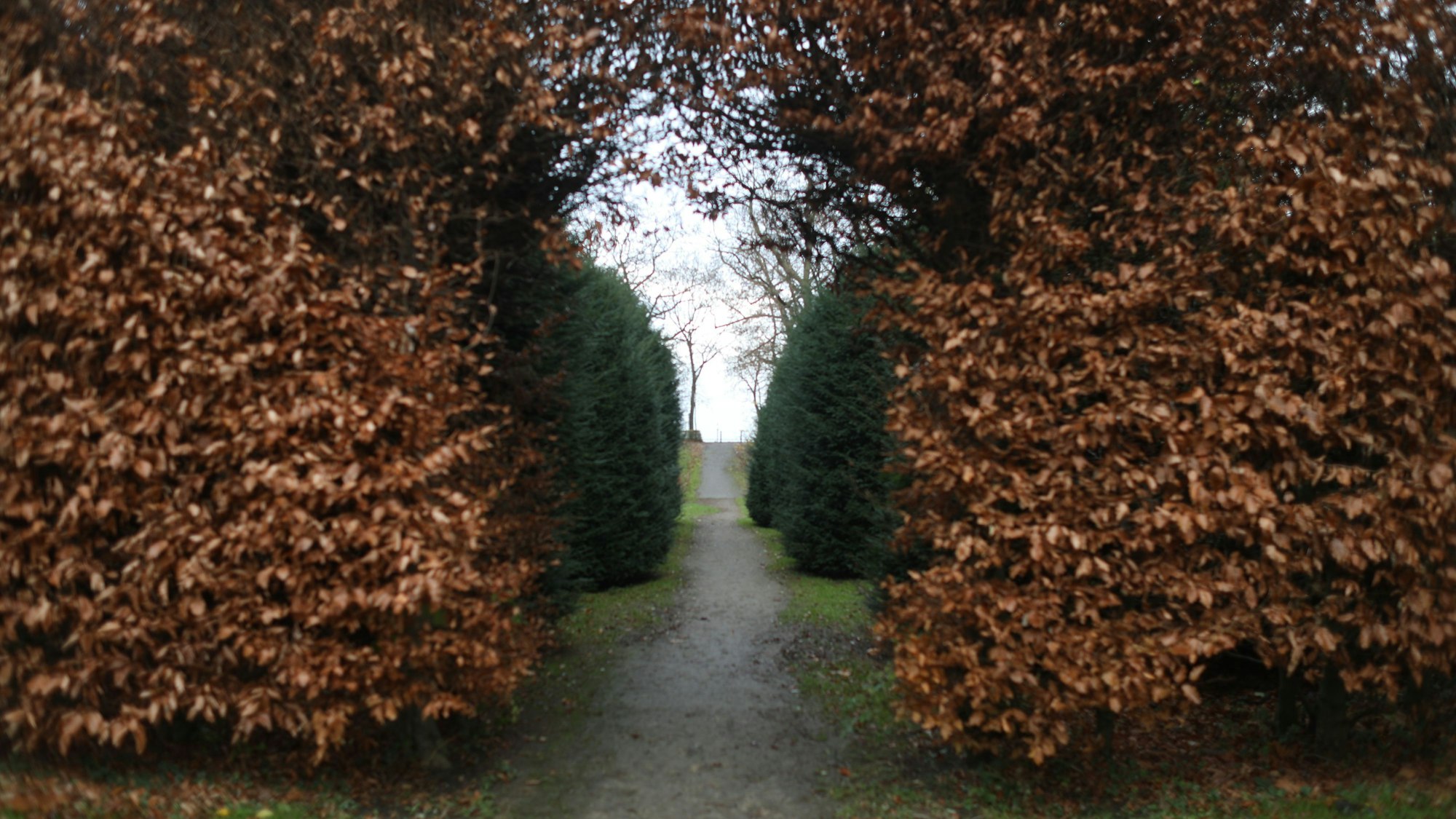 Herbst im Friedenspark in der Südstadt. (Archivbild)