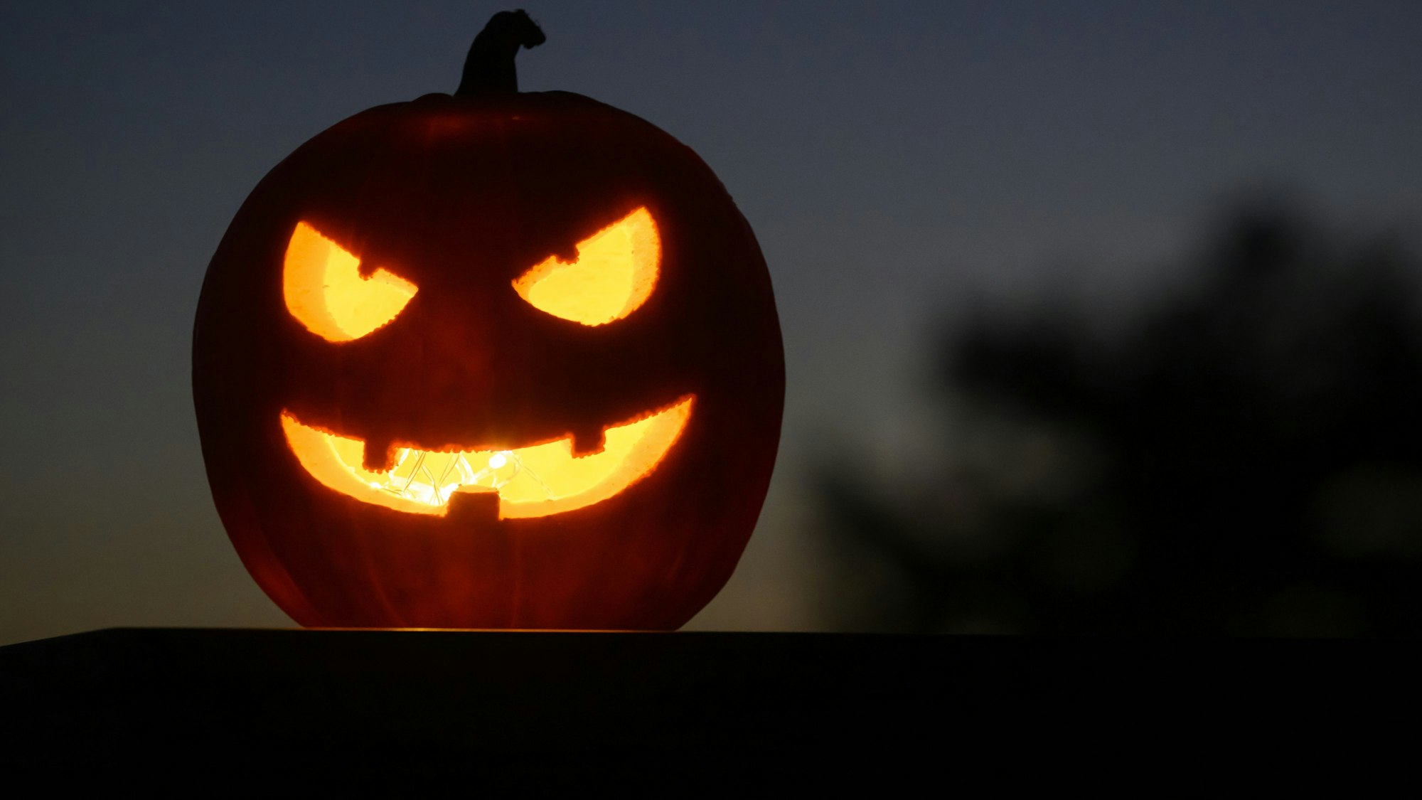 Als Halloween-Dekoration steht ein ausgehöhlter, beleuchteter Kürbis mit einem geschnitzten grinsenden Gesicht in einem Garten.