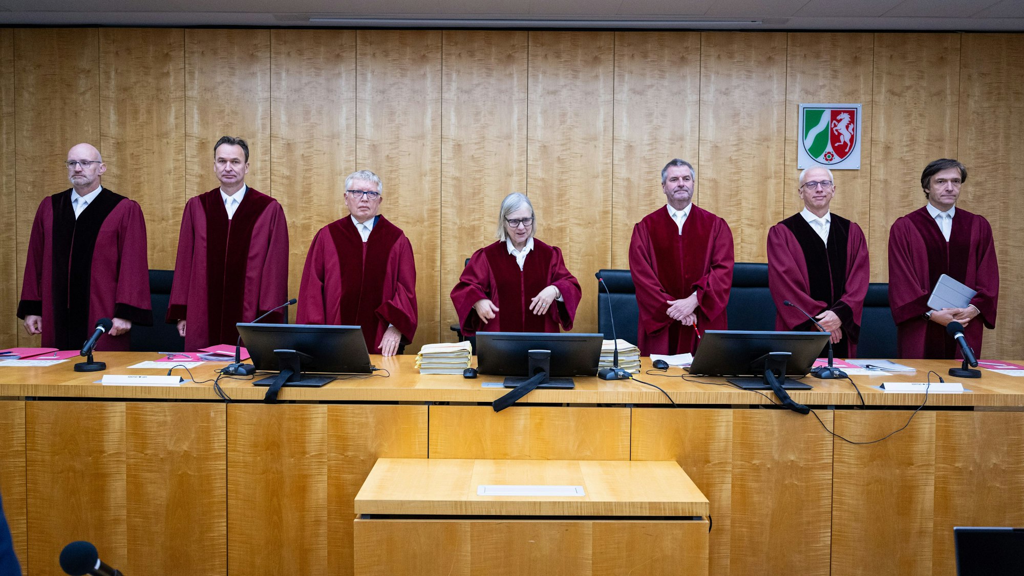 Sieben Verfassungsrichter stehen nebeneinander.