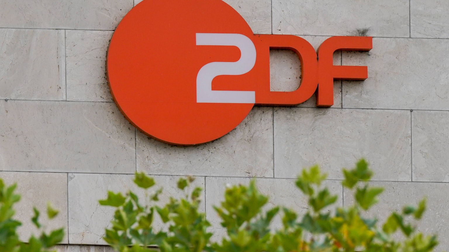 Orangefarbenes ZDF Logo an einer Steinwand, mit unscharfem Grün im Vordergrund