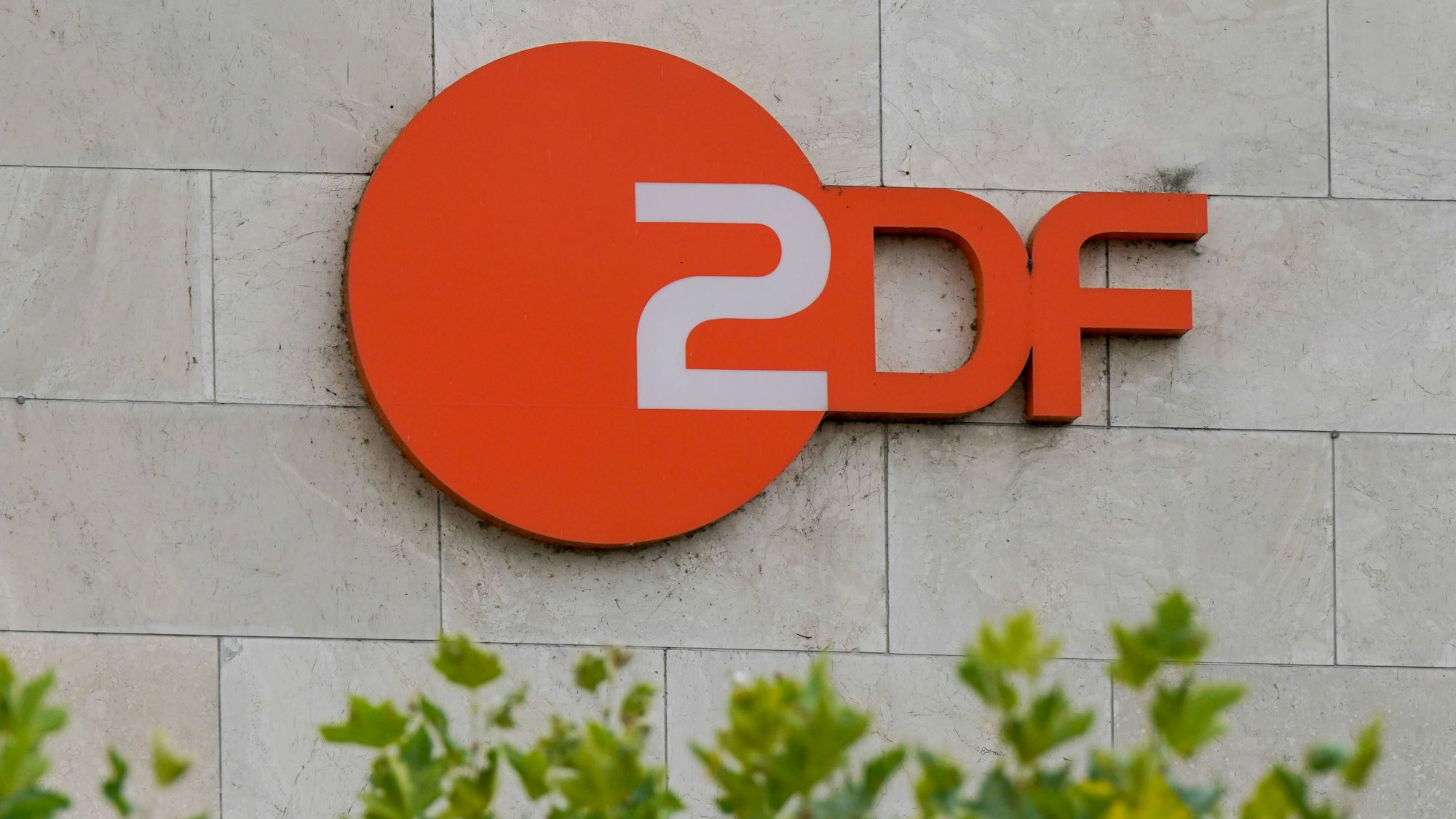Orangefarbenes ZDF Logo an einer Steinwand, mit unscharfem Grün im Vordergrund