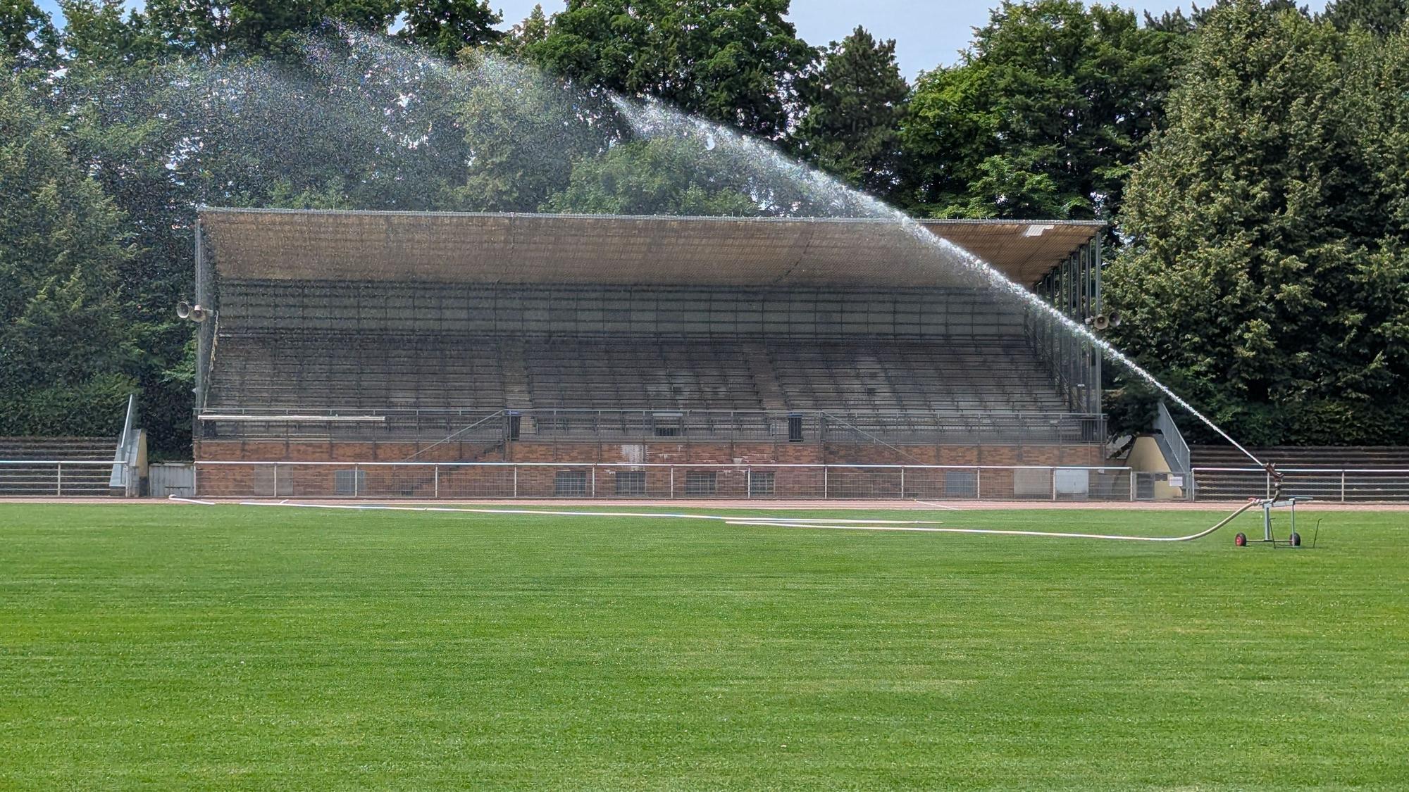 Das Foto zeigt den Naturrasen vor der Tribüne im Stadion Alt-Hürth, der im Sommer bewässert wurde.