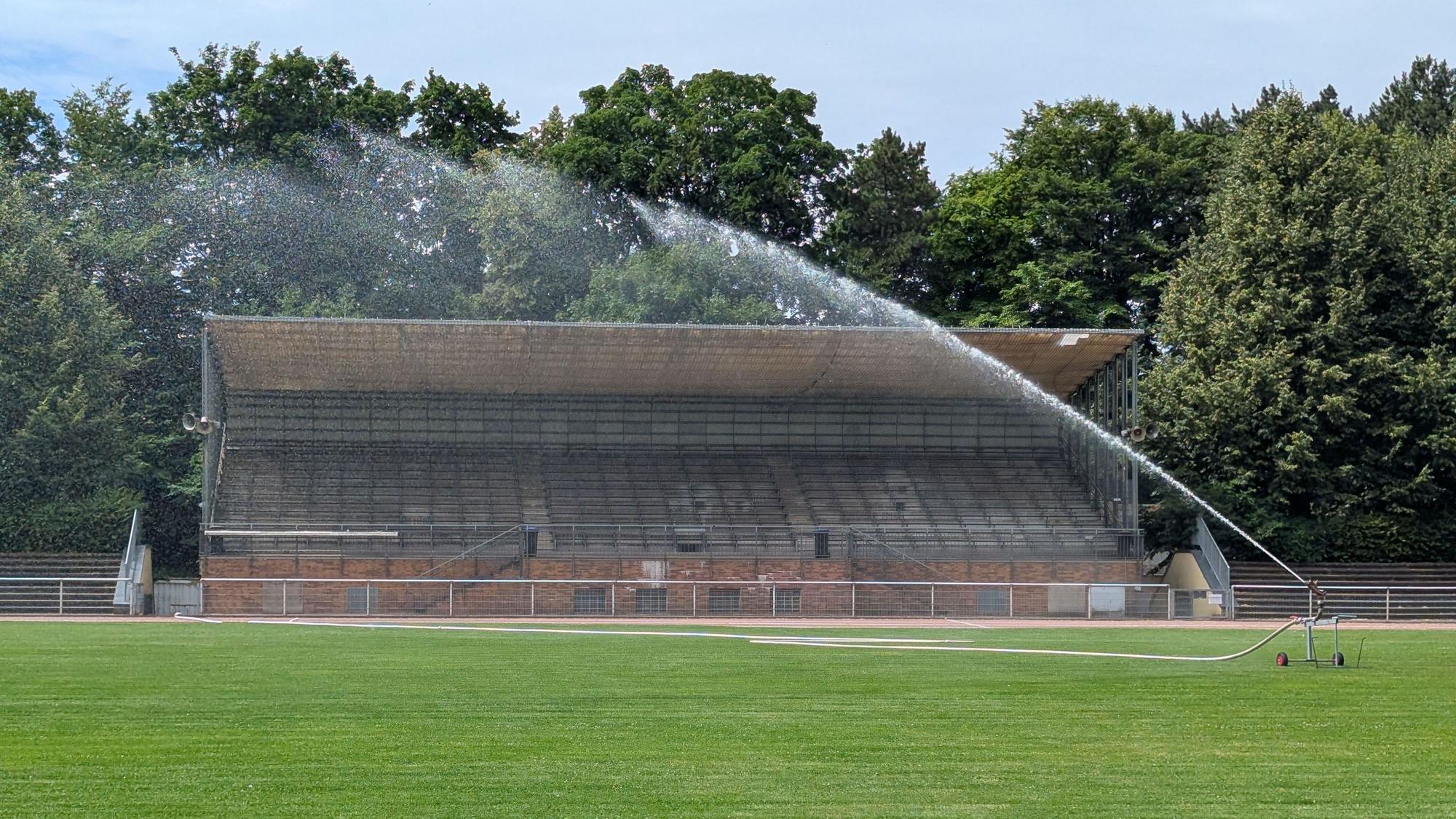 Das Foto zeigt die Tribüne und den Rasen des Stadions in Alt-Hürth, der gerade bewässert wird.