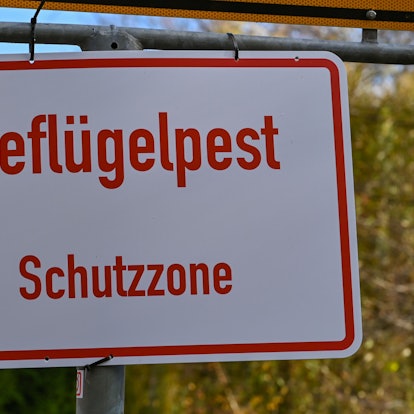 Ein Schild mit der Aufschrift „Geflügelpest Schutzzone“. (Archivfoto)
