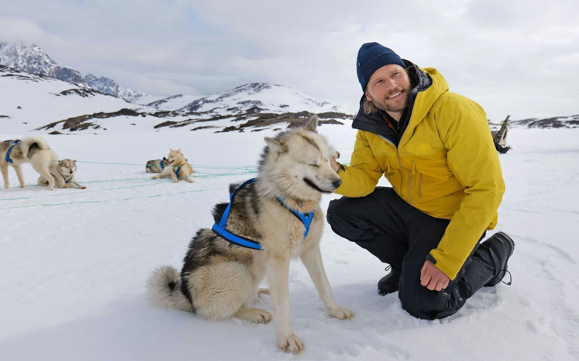 Sebastian Ströbel machte bei seiner Arktis-Expedition die Bekanntschaft von Grönlandschlittenhunden. (Bild: ZDF / Florian Epple)