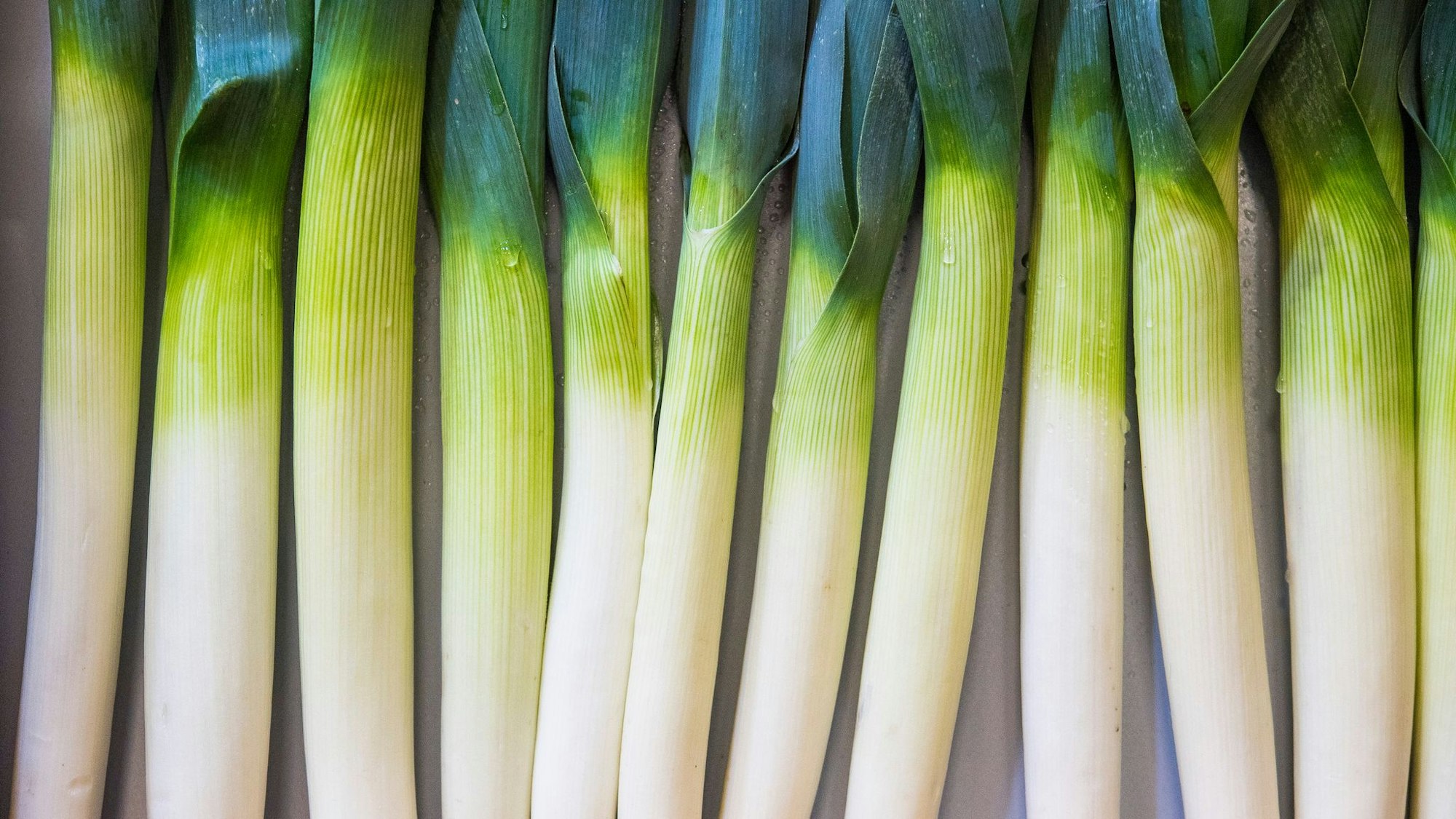 Viele Stangen Lauch liegen nebeneinander.