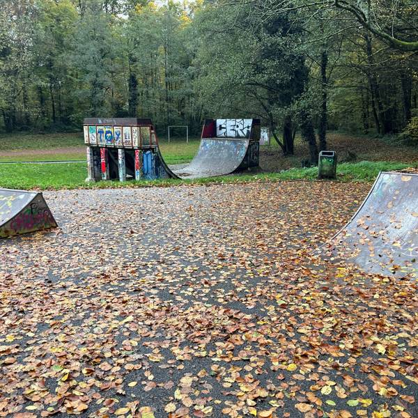 Zu sehen sind eine Halfpipe und zwei kleine Sprungelemente, die mit Laub bedeckt sind.