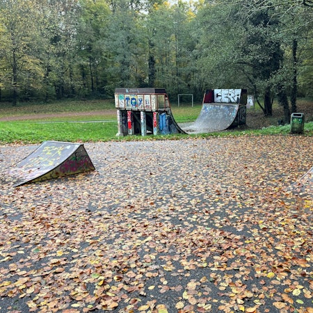Zu sehen sind eine Halfpipe und zwei kleine Sprungelemente, die mit Laub bedeckt sind.