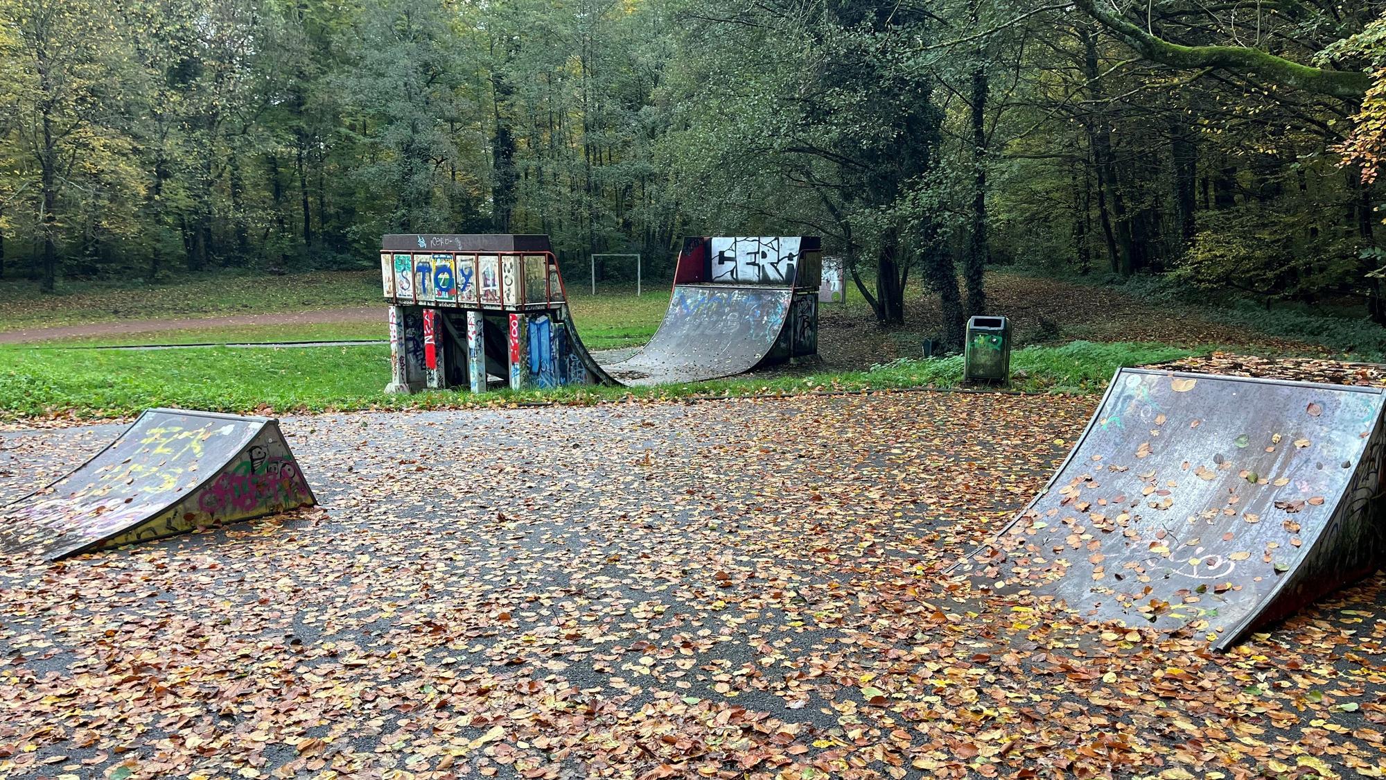 Drei Rampen sind zu sehen, bedeckt mit Laub.