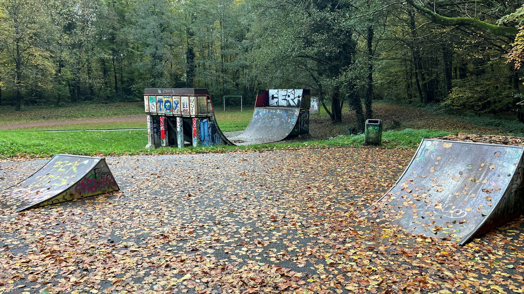 Drei Rampen sind zu sehen, bedeckt mit Laub.