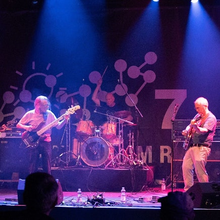 „Confuse your Cat“ sind Henning Kaltheuner (E-Gitarre, Synthesizer), Hardy Schwarz (Bass), Harro Viererbl (Akustikgitarre, Synthesizer) und Dirk Schuwerack (Schlagzeug). Die Band hat ein Livekonzert im Kölner Loft auf CD herausgebracht.