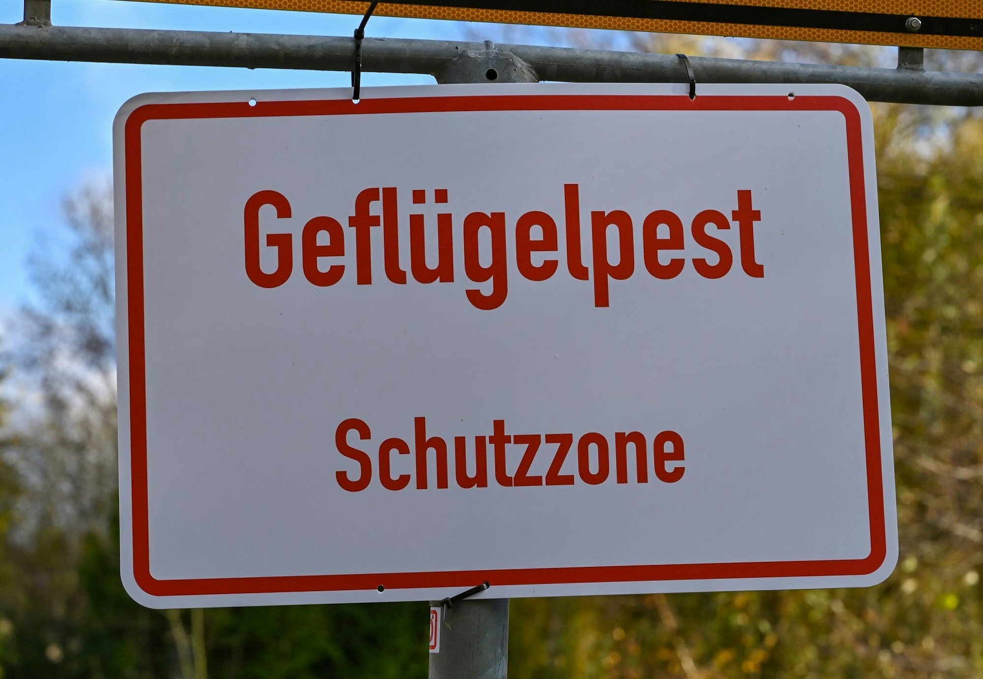 Nach Angaben des Friedrich-Loeffler-Instituts sind immer mehr Geflügelhaltungen in Deutschland von der Geflügelpest betroffen. In Betrieben in neun Bundesländern gab es bislang Seuchenausbrüche. (Symbolbild).