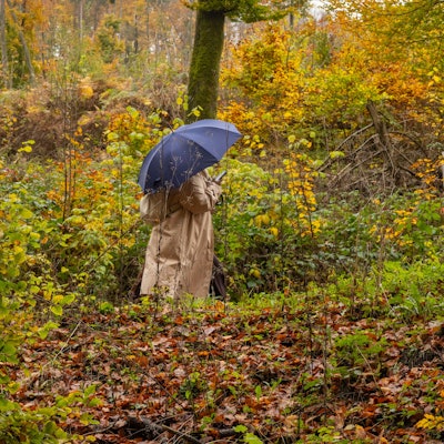 Der Oktober war im Rhein-Sieg-Kreis zwar nass, aber nicht durchgehend.