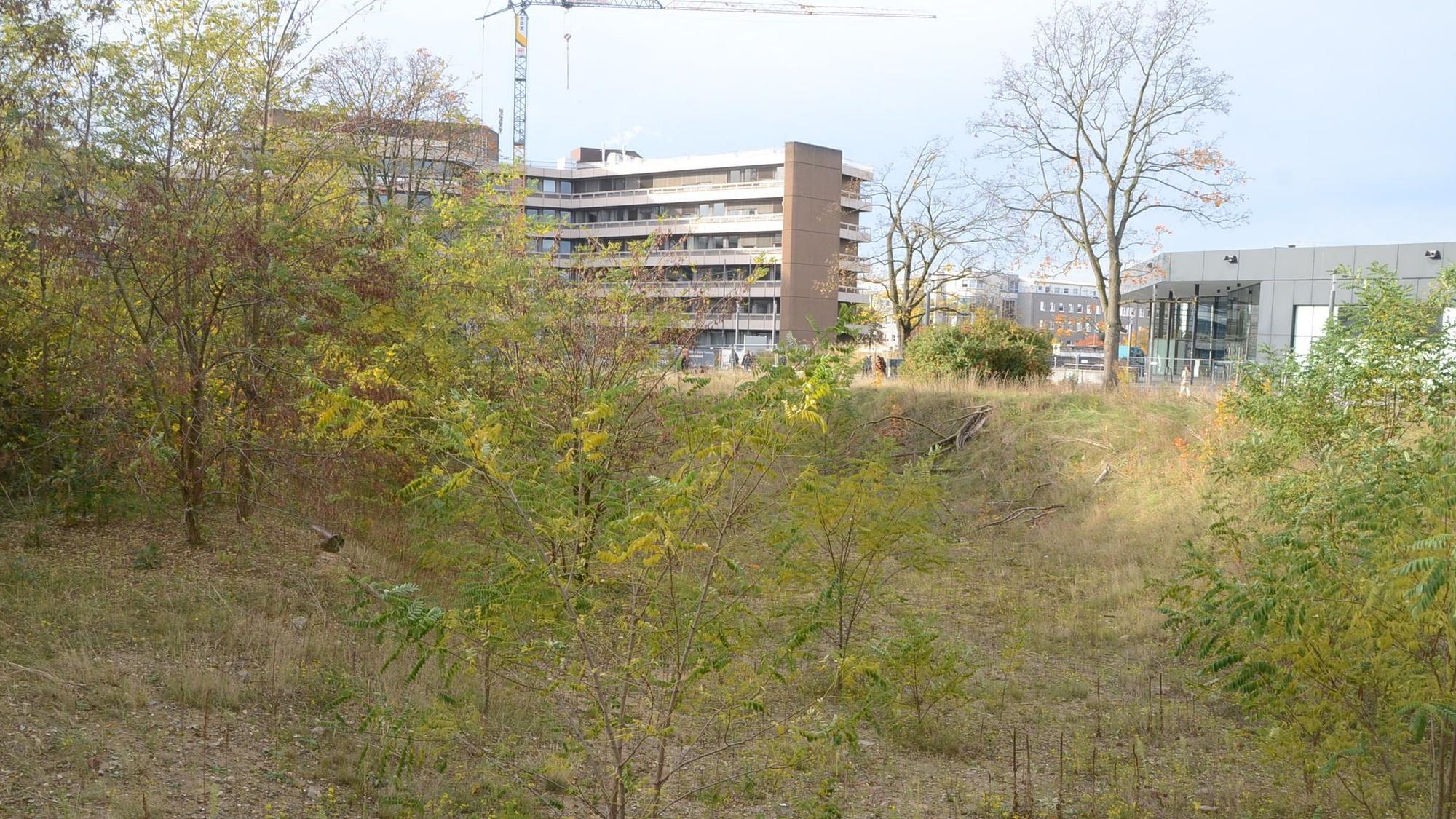Eine Grube mit Gebüsch und Bäumen. Im Hintergrund ein Verwaltungsgebäude und eine Veranstaltungshalle.