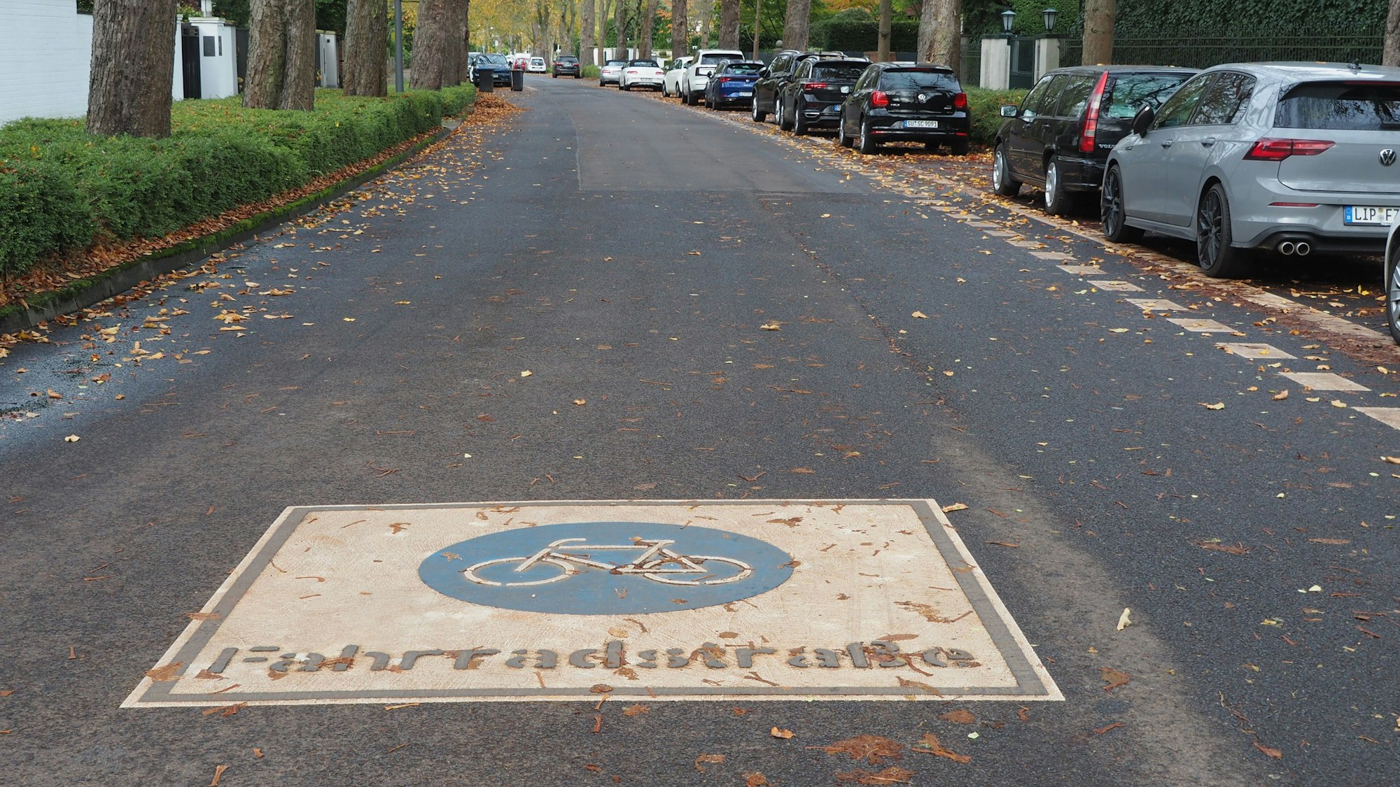 Ein Piktogramm auf der Fahrbahn, das die Goethestraße als Fahrradstraße kennzeichnet.
