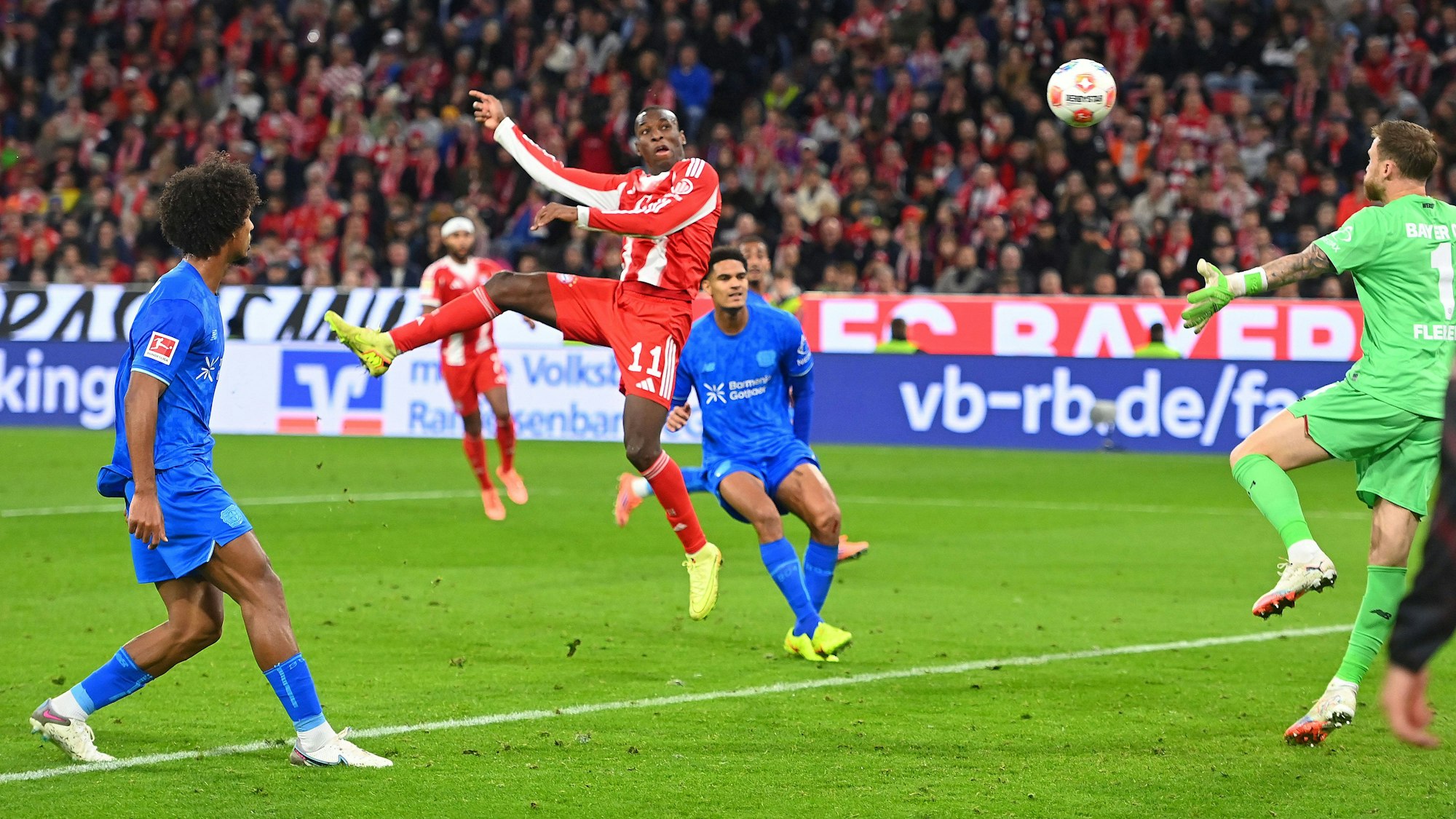 Tor Nicolas JACKSON Bayern Muenchen zum 2-0, Aktion,Kopfball gegen Torwart Mark FLEKKEN Bayer Leverkusen, Fussball 1. Bundesliga Saison 2025/2026, 9.Spieltag, Spieltag09 FC Bayern Muenchen - Bayer 04 Leverkusen 3-0 am 01.11.2025 , A L L I A N Z A R E N A. *** Goal Nicolas JACKSON Bayern Muenchen to 2 0, Action,Header against goalkeeper Mark FLEKKEN Bayer Leverkusen , Soccer 1 Bundesliga Season 2025 2026, 9 Matchday, Matchday09 FC Bayern Muenchen Bayer 04 Leverkusen 3 0 on 01 11 2025 , A L L I A N Z A R E N A